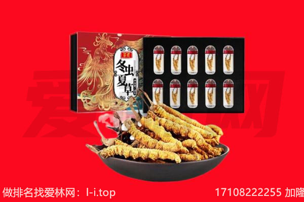 哈尔滨尚志市回收虫草.jpg
